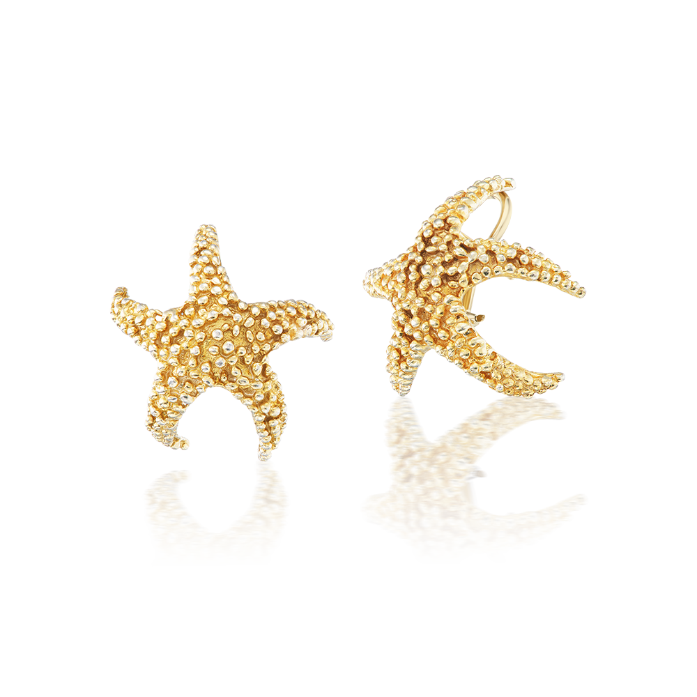 Sun-Kissed Tidepool Stars