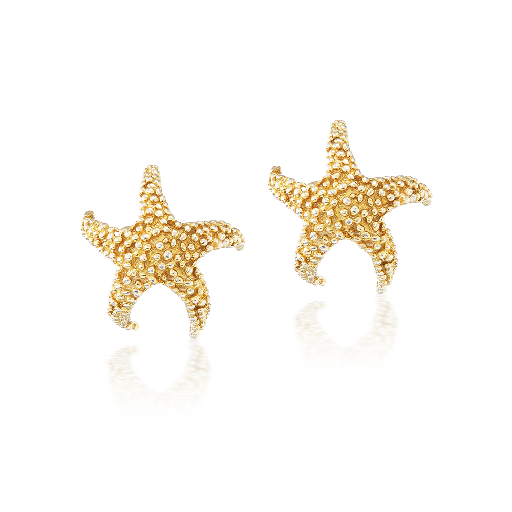 Sun-Kissed Tidepool Stars