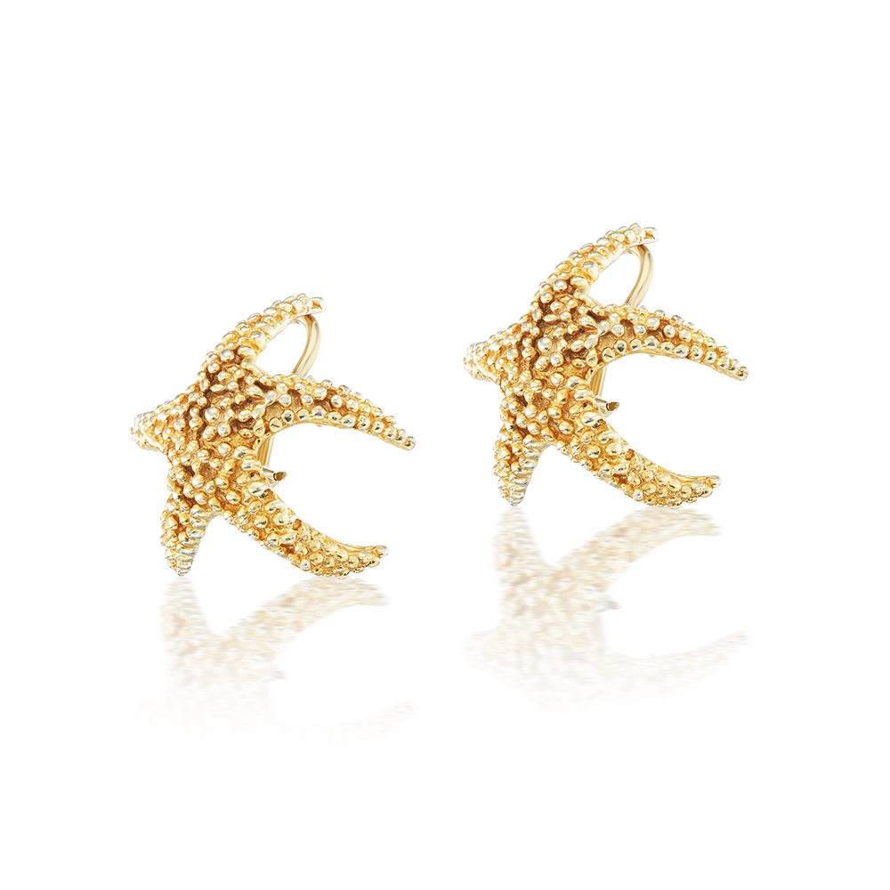 Sun-Kissed Tidepool Stars